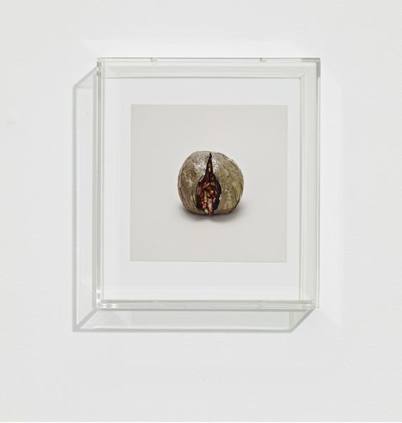 Container image