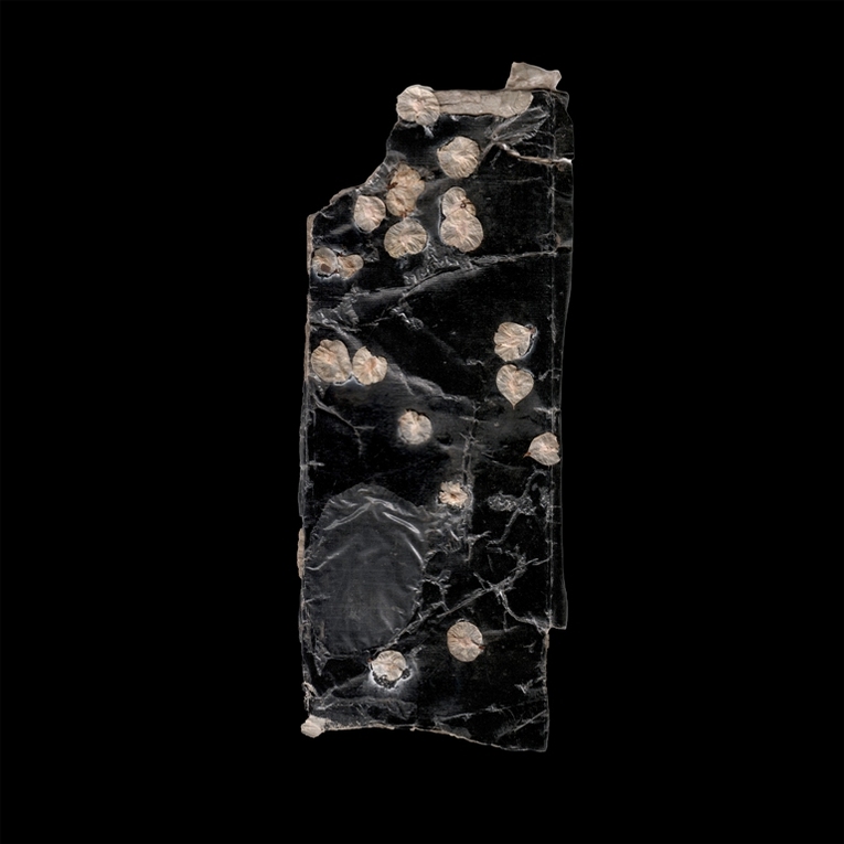 Container image