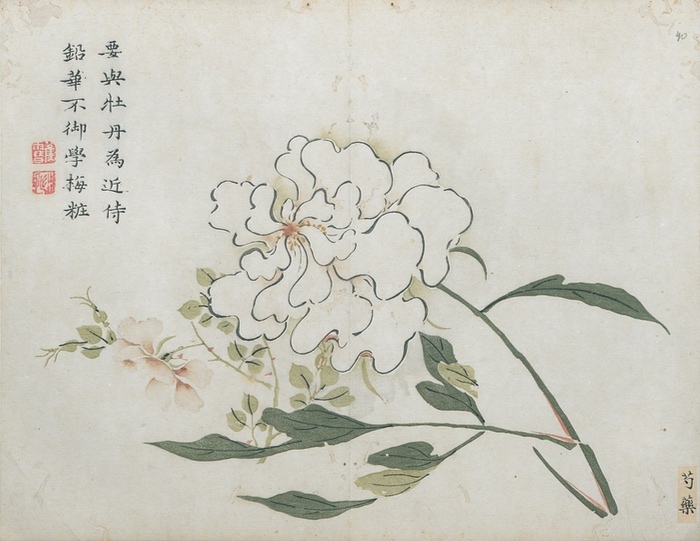 Container image