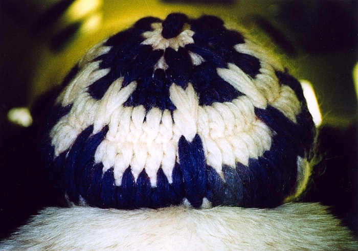 Container image