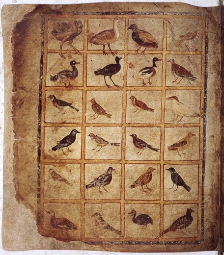Container image