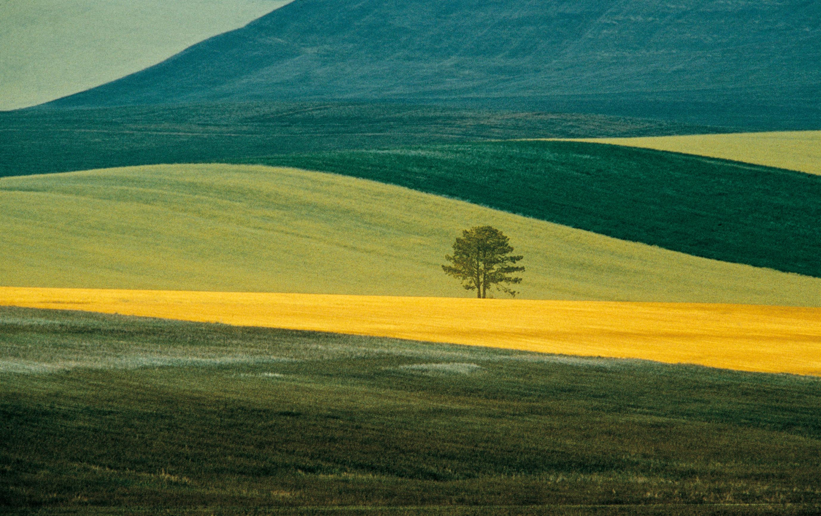 Фото нюансы. Франко фонтана пейзажи. Контраст в природе. Цветовой контраст в природе. Контрастный пейзаж.